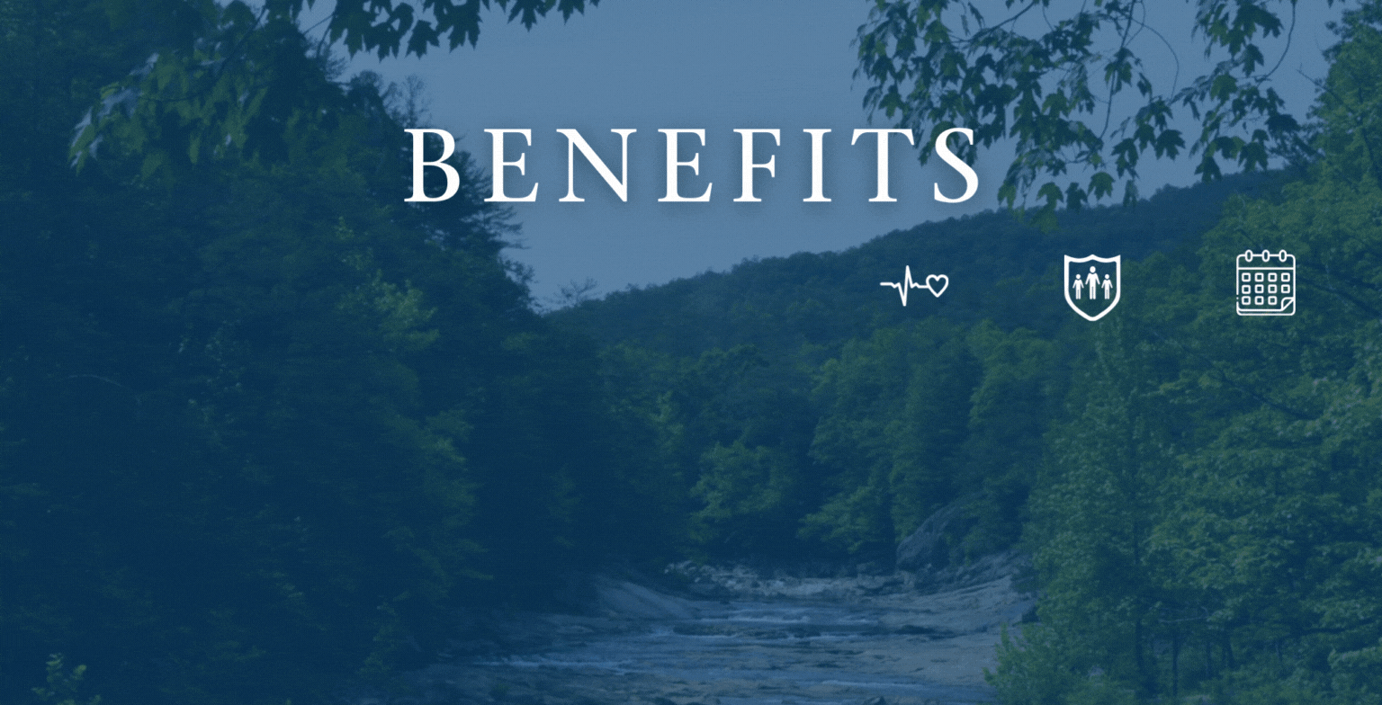 HR benefits info graphics