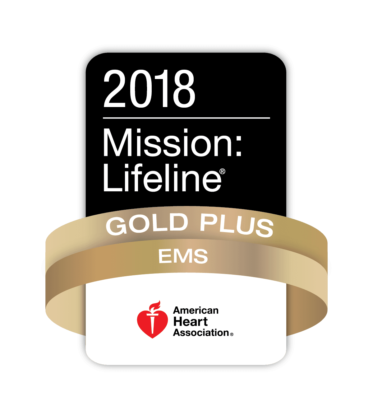 Mission Lifeline Award Badge 2018